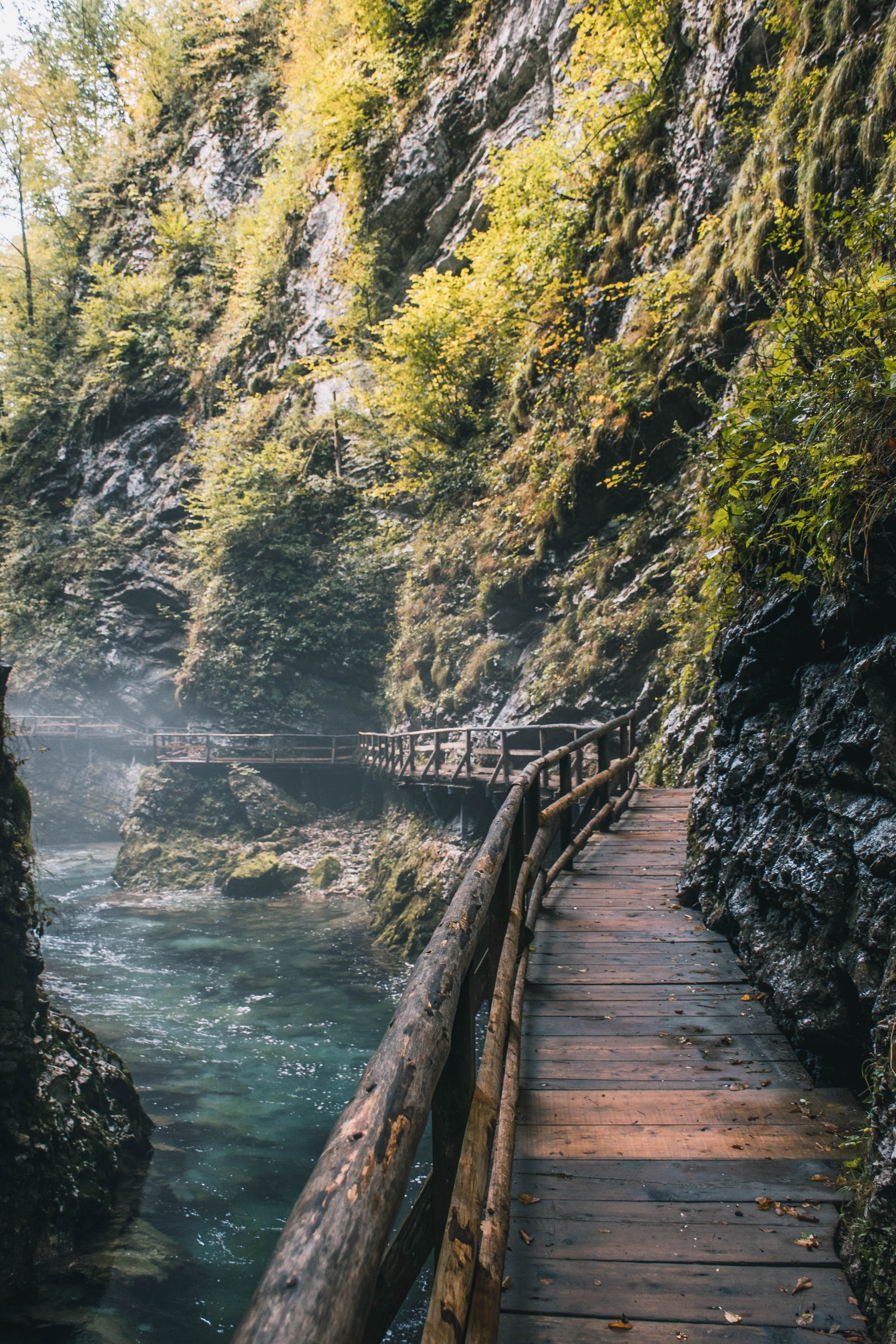 zan-janzekovic-Cj4RAPvtcHc-unsplash